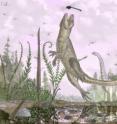 When crocodiles tried to be mammals: the Cretaceous crocodilan <I>Pakasuchus kapilimai</I>, complete with complex, mammal-like dentition and an unusually flexible spine, hunts dragonflies on an ancient Tanzanian floodplain.