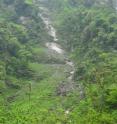 This is a mountainside in the Wolong Nature Reserve in which swaths of forest destroyed by landslides after the 2008 earthquake start to show signs of regeneration.