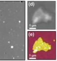 "Laser targeting" for nanoscale microscopy: On the left, a typical 900 square micrometer view, using focused laser beam, shows potentially interesting purple membrane patch, which is marked with the square. Right top, closer optical image of patch; bottom, same target imaged with AFM revealing topological detail.