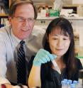 An investigation led by Drs. Philip Shaul and Chieko Mineo offers new clues into the mechanisms underlying antiphospholipid syndrome, a potentially life&#8209;threatening condition predisposing people to blood clots.