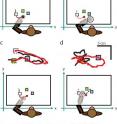 During the experiment, monkeys used their brain signals to move a computer cursor (red circle) to randomly placed targets (squares). When visual and proprioceptive feedback were included, the monkey’s hand was moved by a robotic exoskeleton. The additional sensory information resulted in the cursor hitting the target faster and more directly.