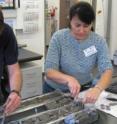 Scientist Mimi Katz looks at core samples; she will later identify microscopic plankton fossils. Scientist Mimi Katz looks at core samples; she will later identify microscopic plankton fossils.