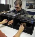 Research analyst Lindsey McIntosh demonstrates the procedure that elicits the rubber hand illusion on senior Michael Geoghegan. Research analyst Lindsey McIntosh demonstrates the procedure that elicits the rubber hand illusion on senior Michael Geoghegan.