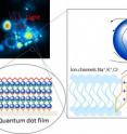 Optically excited quantum dots in close proximity to a cell control the opening of ion channels.