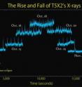 This graph based on RXTE data provides an overview of the changing character of T5X2's X-ray emission during outbursts from Oct. 13 to Nov. 19, 2010. As the persistent X-ray emission rises (upward steps in the plot), the burst rate increases while the burst brightness decreases. The abrupt dropout on Oct. 13 occurred when the moon briefly covered the source. This graph based on RXTE data provides an overview of the changing character of T5X2's X-ray emission during outbursts from Oct. 13 to Nov. 19, 2010. As the persistent X-ray emission rises (upward steps in the plot), the burst rate increases while the burst brightness decreases. The abrupt dropout on Oct. 13 occurred when the moon briefly covered the source.