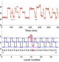 The various levels of electrical signal from the sequence of a DNA strand pulled through a nanopore reader (top) corresponds to specific DNA nucleotides, thymine, adenine, cytosine and guanine (bottom).