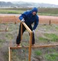 This shows scientist David Hooper of Western Washington University conducting grassland research. This shows scientist David Hooper of Western Washington University conducting grassland research.