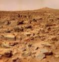 The surface of Mars averages one rock per square meter.