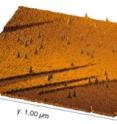 Following bombardment with highly charged ions, nano-hillocks have formed in an area of localized melting. This is an atomic force microscope image.