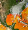 The study is based on data from monitoring stations along the Eastern Seaboard of the United States, where the daily tide levels have been recorded all the way back to 1923. Rapid changes in sea level show that there has been a tropical storm. The map shows cloud cover and ocean temperatures when Hurricane Katrina hit New Orleans in 2005. Warm colors show ocean temperatures exceeding 28° C which can strengthen hurricanes.