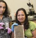 Rice University researchers Madhuri Thakur, left, and Sibani Lisa Biswal are testing anodes made of treated porous silicon that can be spread on a current collector and holds up to 10 times the amount of lithium than graphite anodes in current lithium-ion batteries. The robust anodes have achieved more than 600 charge-discharge cycles.
