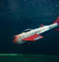 A team of Michigan State University scientists has developed a robotic fish that can swim and glide long distances while gathering data such as water quality and temperature.