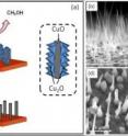 This is a schematic illustration of the two-step synthesis of CuO-Cu<sub>2</sub>O hybrid nanorod arrays.