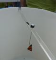 Researchers at the U of Guelph tested monarchs' flight path in a funnel on the university campus.