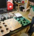 Melissa Pespeni, Stanford University, checks the fertilization rate of urchins on spawning day.
