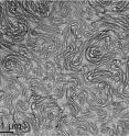 A web-like, gel structure is formed after fluid passes through the flow device. The unit of measurement is 1 micron.