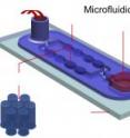 This is a diagram showing how the microfluidics device works. Water mixed with salt and soap is injected into a spout (left back). The fluid travels through a series of posts (see enlarged segment) that cause the fluid to thicken.