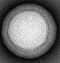 Transmission electron microscopy demonstrated that the nanosponges are approximately 85 nanometers in diameter.