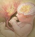 Abnormal placental folds signal autism risk at birth. Abnormal placental folds signal autism risk at birth.