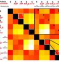 Data in this revolutionary structural comparison map is presented as a color-coded checkerboard with similarity scores displayed as gradients moving from red, indicating high, to white, indicating low, and various shades of orange and yellow in between.