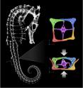 Sea horses get their exceptional flexibility from the structure of their bony plates, which form its armor. The plates slide past each other. Here the seahorse's skeleton, as well as the bony 
plates, are shown though a micro CT-scan of the animal.
