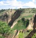 This is central China's Loess Plateau.