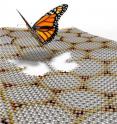 This is an artistic image illustration of a butterfly departing from a graphene moiré pattern formed on the top of an atomically thin boron nitride substrate. Electron energy in such a graphene moiré structure exhibits the butterfly like a self-recursive fractal quantum spectrum.