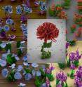 These false-color SEM images reveal microscopic flower structures created by manipulating a chemical gradient to control crystalline self-assembly.