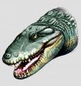 <i>Globidentosuchus brachyrostris</i> belonged to the caiman family. With its spherical teeth they likely specialized in shellfish, snails or crabs.