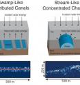 These are cartoon representations (above) and radar images (below) of the distinct swamp-like and stream-like water systems observed beneath Thwaites Glacier, West Antarctica.