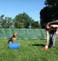 This image shows a dog owner demonstrating an action. This image shows a dog owner demonstrating an action.