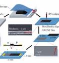These schematic diagrams depict the fabrication process for p-n junction photodectors using flattened, highly aligned nanotube carpets. These schematic diagrams depict the fabrication process for p-n junction photodectors using flattened, highly aligned nanotube carpets.