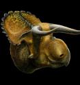 This image shows an artist rendition of <i>Nasutoceratops</i>.