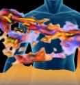 Researchers at Berkeley Lab and the University of Wisconsin have reported the first full color infrared tomography.