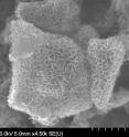 This is a field emission scanning electron microscopy (FESEM) image of 3D honeycomb-structured graphene. The novel material can replace platinum in dye-sensitized solar cells will virtually no loss of generating capacity.