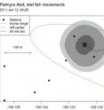 University of Hawaii at Manoa scientists have developed a new method of estimating fish movements underwater.  Their new state-space model for analyzing fish movement data collected by marine observation networks aims to quantify the uncertainty associated with this imperfect locating system, and to improve its accuracy.