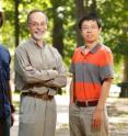 Graduate student Derek Caetano-Anoll&#233;s, crop sciences and Institute for Genomic Biology professor Gustavo Caetano-Anoll&#233;s and senior bioinformatician Minglei Wang report that the emergence of the genetic code corresponds to the advent of protein flexibility.