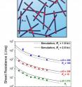 Because nanowire networks are deposited randomly, the role that contact resistance, or the amount of resistance that results from electrons traveling from one wire to another, plays in the overall resistance of the network is hard to determine. By developing a simulation of these networks based on their other parameters, such as nanowire length and width, the researchers can match the simulated electrical resistances (lines) to experimental values (points) and extract the contact resistance. Because nanowire networks are deposited randomly, the role that contact resistance, or the amount of resistance that results from electrons traveling from one wire to another, plays in the overall resistance of the network is hard to determine. By developing a simulation of these networks based on their other parameters, such as nanowire length and width, the researchers can match the simulated electrical resistances (lines) to experimental values (points) and extract the contact resistance.