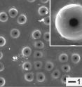 This is a scanning electron microscope image showing the polystyrene "bottles with a hole in the surface. The inset shows a magnified view.