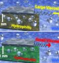 This illustration shows how the different effective viscosity of water affects the force required to slide two surfaces separated by a thin layer of water when confined by a hydrophilic material or a hydrophobic material.