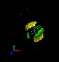 This model of the guanidinium chloride salt in solution shows carbon (yellow) and water (green) surrounding the cations and 
demonstrates cation-cation pairing.