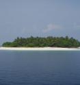 This is one of the study sites Dhakandhoo, in the Maldives.