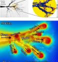 This is a typical view of positive streamer branching in a liquid dielectric, (top) experimental images of a positive streamer initiated from a needle electrode and, (bottom): 3-D modeling result of a corresponding case (iso-surface plot of the electric field distribution). The streamer structures are qualitatively similar in experiments and simulations. The fractal structure of the streamer tree in the experimental image makes it possible to compare the modeling result a lso with other nodes of the tree including the one at the needle electrode tip. This is a typical view of positive streamer branching in a liquid dielectric, (top) experimental images of a positive streamer initiated from a needle electrode and, (bottom): 3-D modeling result of a corresponding case (iso-surface plot of the electric field distribution). The streamer structures are qualitatively similar in experiments and simulations. The fractal structure of the streamer tree in the experimental image makes it possible to compare the modeling result a lso with other nodes of the tree including the one at the needle electrode tip.