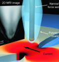 This illustration of the experimental setup shows the two unique components of the teams novel MRI technique that was successful in producing a 2-D MRI image with spatial resolution on the nanoscale.