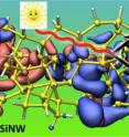 Amorphous Silicon nanowire (yellow network) facilitates harvesting of solar energy in the form of a photon (wavy line). In the process of light absorption a pair of mobile charge carriers is created (red clouds depict an electron smeared in space, while the blue clouds visualize the so-called hole which is a positively charged carrier). The energy of their directed motion is then transformed into electricity. Electron and hole charge distributions are often located in different regions of space due to multiple structural defects in amorphous silicon nanowires. Amorphous Silicon nanowire (yellow network) facilitates harvesting of solar energy in the form of a photon (wavy line). In the process of light absorption a pair of mobile charge carriers is created (red clouds depict an electron smeared in space, while the blue clouds visualize the so-called hole which is a positively charged carrier). The energy of their directed motion is then transformed into electricity. Electron and hole charge distributions are often located in different regions of space due to multiple structural defects in amorphous silicon nanowires.
