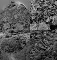 These are scanning electron microscope images of degraded plastic particles showing examples of surface textures on sampled plastic particles.