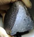 Scientists identified meteorites, such as this one nicknamed "Black Beauty," as Martian in origin. Scientists identified meteorites, such as this one nicknamed "Black Beauty," as Martian in origin.