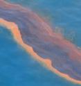 This image shows a heavy band of oil seen in the Gulf of Mexico during the 2010 Deepwater Horizon accident.