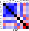 This SAXS profile of a 31 base pair DNA with an error (M2) and no error (C2) in the presence of MutS (S), MutL (L), ATP and combinations. The profile is scored for pair-wise agreement and assigned a color ranging from high similarity (blue) to low similarity (red). The black squares are the self-comparisons. This SAXS profile of a 31 base pair DNA with an error (M2) and no error (C2) in the presence of MutS (S), MutL (L), ATP and combinations. The profile is scored for pair-wise agreement and assigned a color ranging from high similarity (blue) to low similarity (red). The black squares are the self-comparisons.