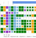 Gamers line up colored rectangles to help scientists identify genetic anomalies.